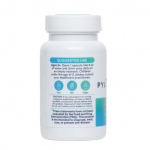 Pyloguard. Probiotisk støtte mot H. pylori. - Bilde 3